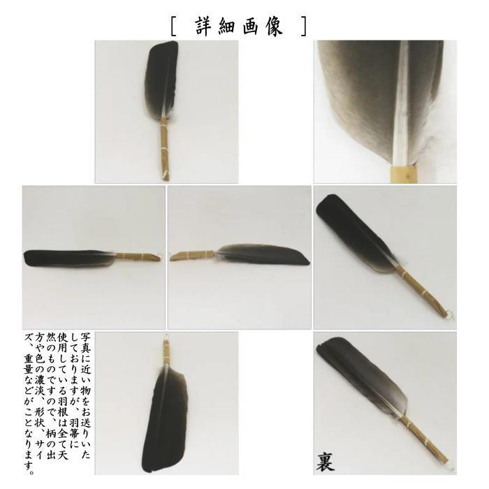 激安な 茶道具 羽箒 玄鶴 くろづる 炉用 左羽 新品未使用 工芸品