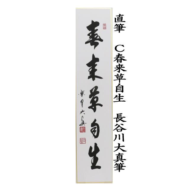 短冊、大徳寺、小林太玄師、梨花一枝春 茶道具 短冊 直筆 梅花和雪香又は雪裏一枝春又は春来草自生 長谷川大