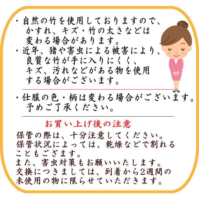 茶道具 銘付茶杓 銘 男嶋 女嶋 円能斎作写し 松嶋の竹 実竹 竹2