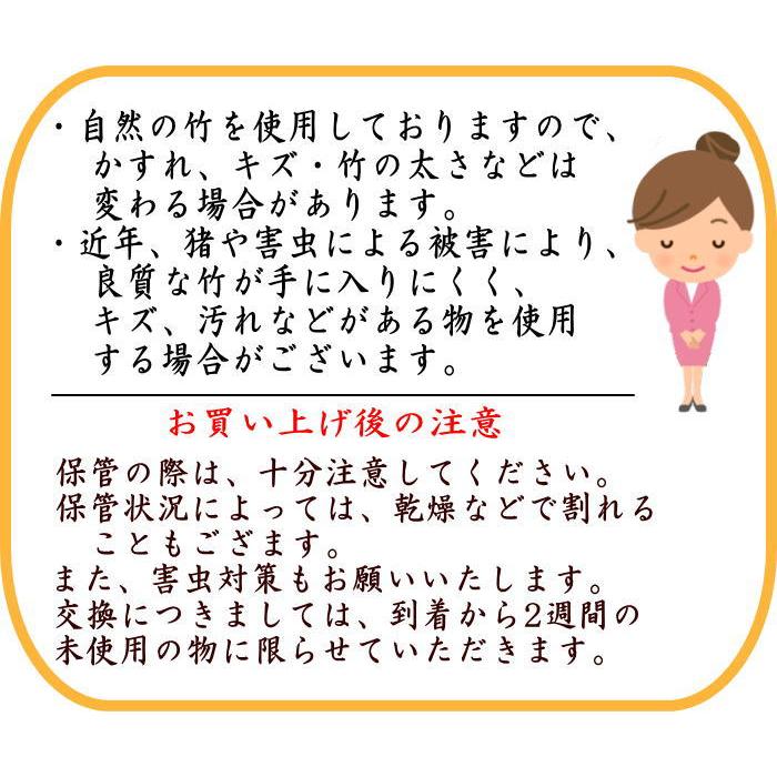 茶道具 茶杓 特上 白竹又は古竹又は煤竹 奈良高山製 紙箱入り 白竹 古