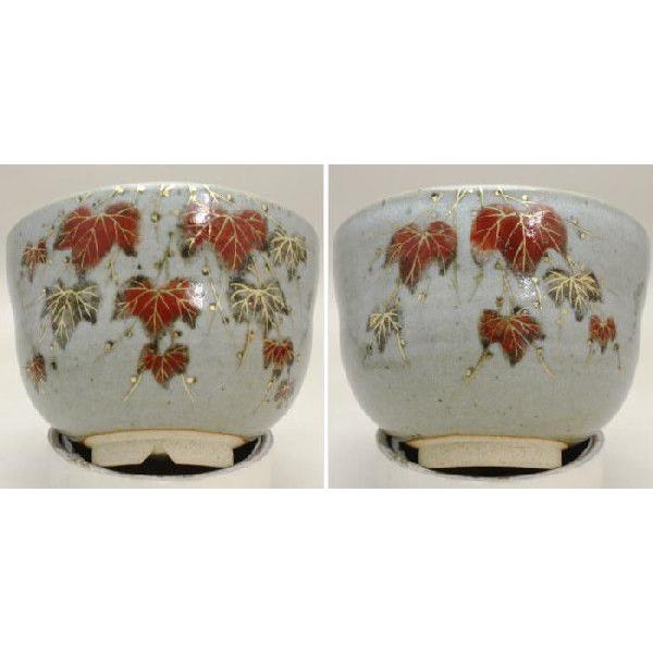 茶道具 抹茶茶碗 膳所焼き 蔦の絵 岩崎新定作 茶道 : tyawann 茶道具 抹茶茶碗 膳所焼き 蔦の絵 岩崎新定作 茶道 : tyawann