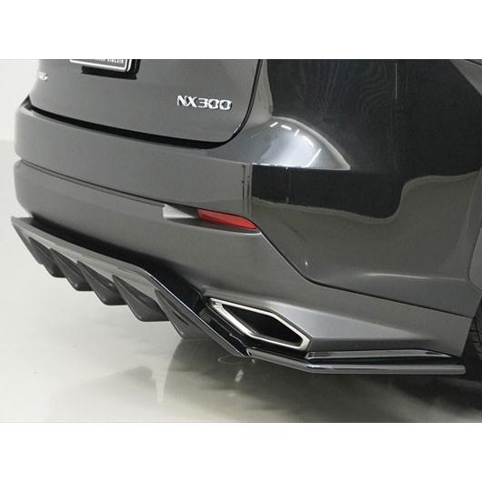 レクサスNX 300系(Fスポーツ) エイムゲインスポーツ リアアンダー