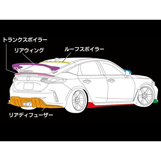 シビックFL5 (Type-R) エイムゲインスポーツ【カーボン製】 リア