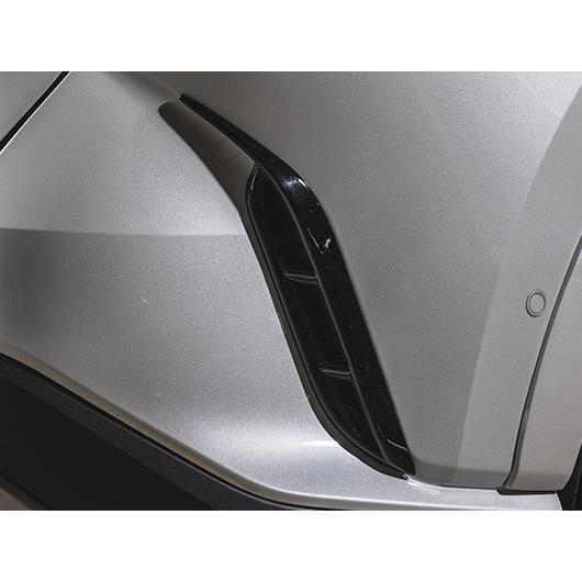 レクサスRX 500h/450h+/350 スポーツライン ブラックレーベル【FRP