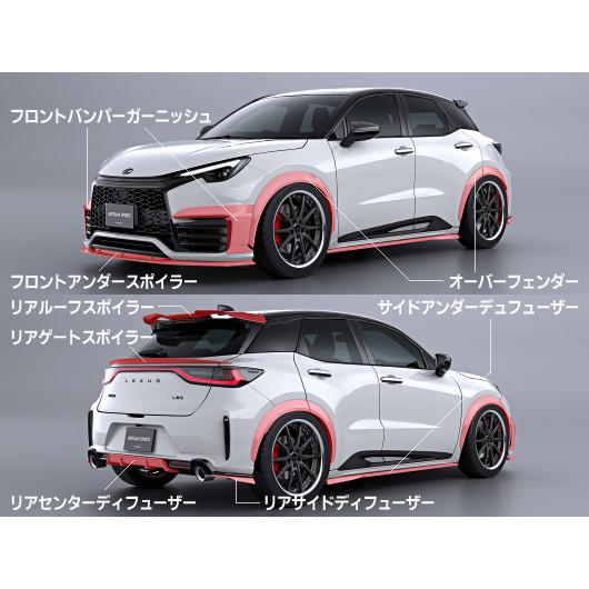 Luke レクサスLBX 4BA-GAYA16 スポーツライン ブラックレーベル【FRP】 リア