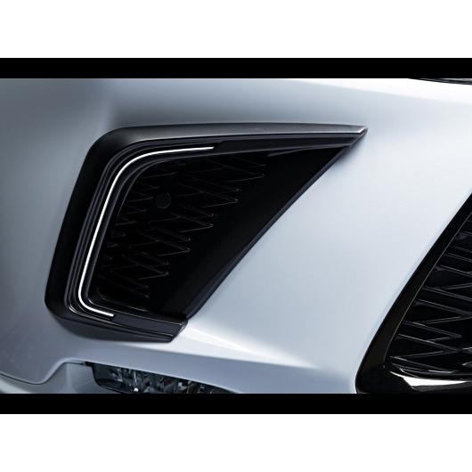 レクサスNX 10系（NX300・300h）後期 ラヴライン【塗装済】 デイライト