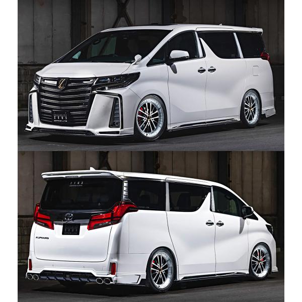 リアウィンドウガーニッシュ アルファード30系 後期