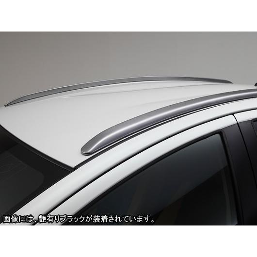 アクアNHP10系 ルーフモール LXモード