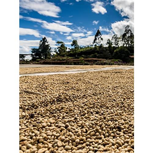 サザコーヒー 1杯取りコーヒー サザカップオン 将軍珈琲 12g×１００枚セット 業務用 大容量 オフィスに最適 深煎り ドリップバッグ 