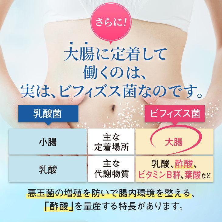 日本予防医薬 初回30%OFF 500億個のビフィズス菌 30日分 日本製 本気の 