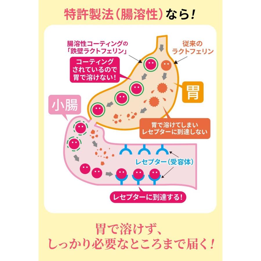 鉄壁ラクトフェリン 腸溶性 10日分 サプリ 特許製法カプセル ラクトフェリン ビフィズス菌 乳酸菌 善玉菌 腸まで届く Nrlファーマ 日本予防医薬 002 イミダペプチド ヤフーshop 通販 Yahoo ショッピング