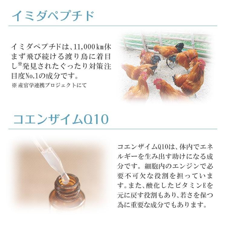 イミダペプチドQ10 パイナップル風味 10本 カネカQH コエンザイムQ10 水溶化還元型 ノンカフェイン 栄養ドリンク イミダゾールジペプチド 日本予防医薬 アミノ酸 | 日本予防医薬 | 05
