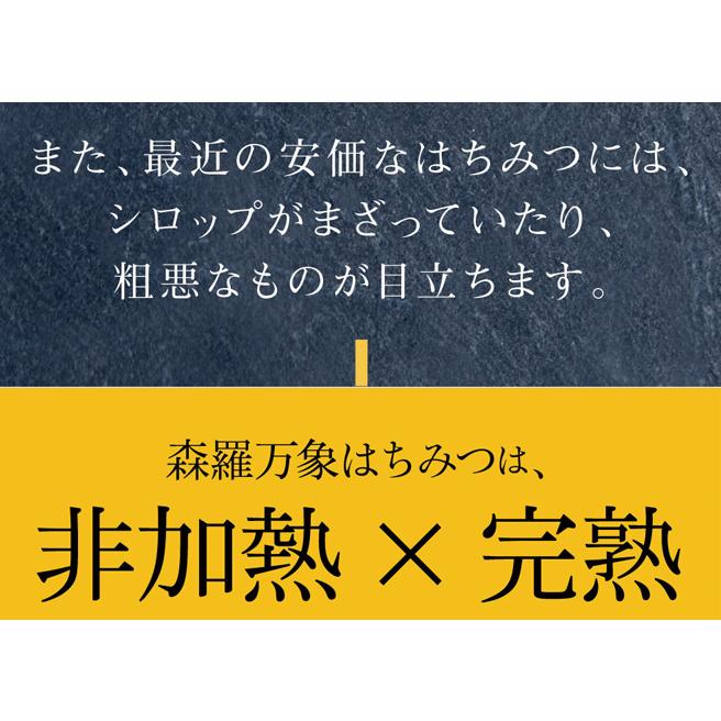 森羅万象 はちみつ 600g 天山蜂蜜 完熟 非加熱 奇跡の 生はちみつ : イ