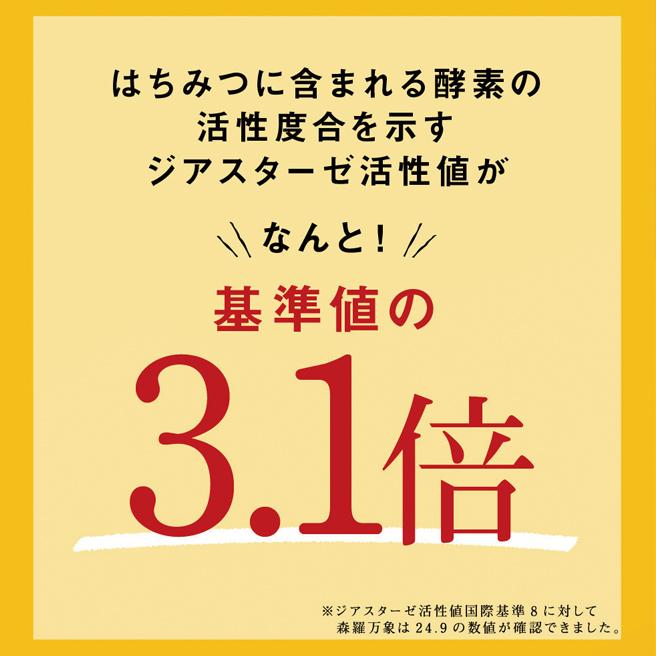 森羅万象 はちみつ 600g 天山蜂蜜 完熟 非加熱 奇跡の 生はちみつ : イ