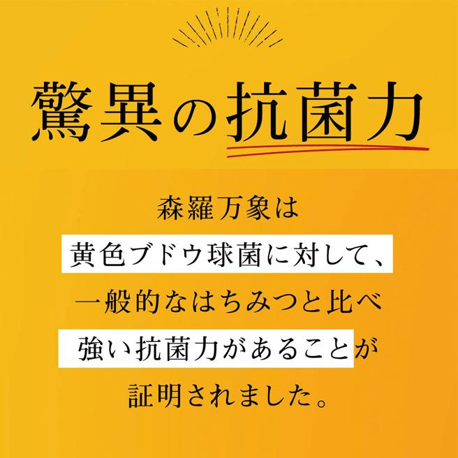 森羅万象 はちみつ 600g 天山蜂蜜 完熟 非加熱 奇跡の 生はちみつ : イ