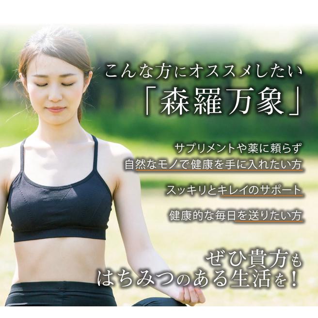 森羅万象 はちみつ 600g 天山蜂蜜 完熟 非加熱 奇跡の 生 森羅万象 はちみつ 600g 天山蜂蜜 完熟 非加熱 奇跡の 生