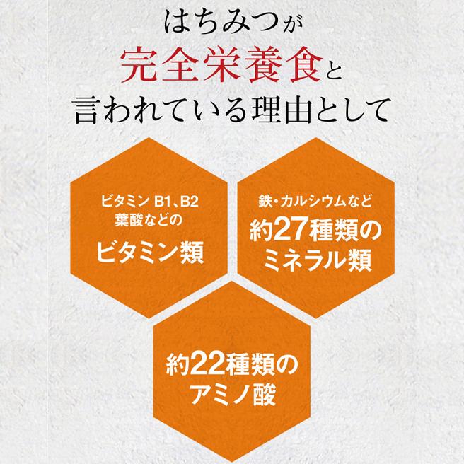 森羅万象 はちみつ 600g 天山蜂蜜 完熟 非加熱 奇跡の 生 森羅万象 はちみつ 600g 天山蜂蜜 完熟 非加熱 奇跡の 生