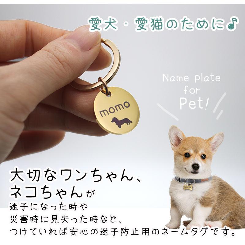 迷子札 犬 猫 ステンレス 選べるシェープ・サイズ コイン形 骨型