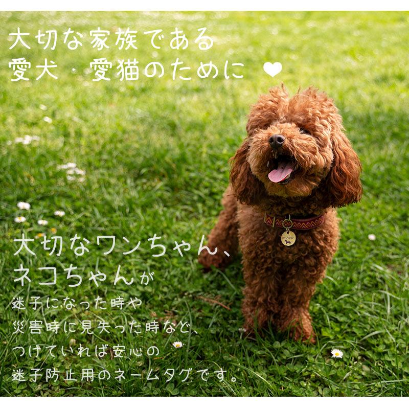 迷子札 犬 猫 ステンレス 選べるシェープ・サイズ コイン形 骨型