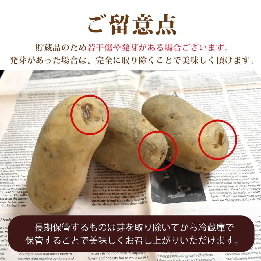 ★越冬品★北海道産メークイン ＬMサイズ 10ｋｇ |  | 04