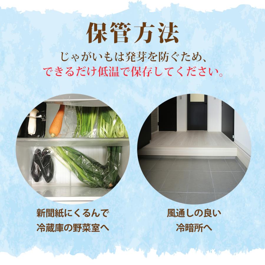 ★越冬品★北海道産メークイン ＬMサイズ 10ｋｇ |  | 08