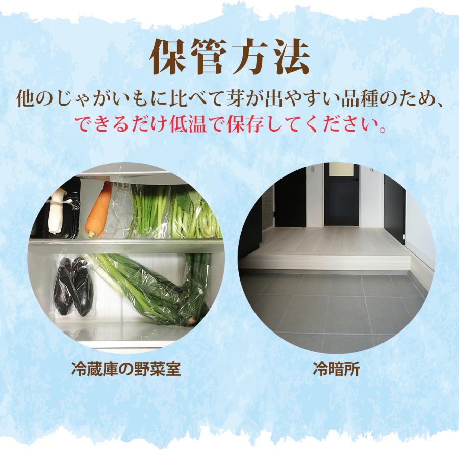 じゃがいも 訳あり 北海道 十勝産 インカのめざめ 10kg M〜2Lサイズ 野菜 ジャガイモ |  | 05