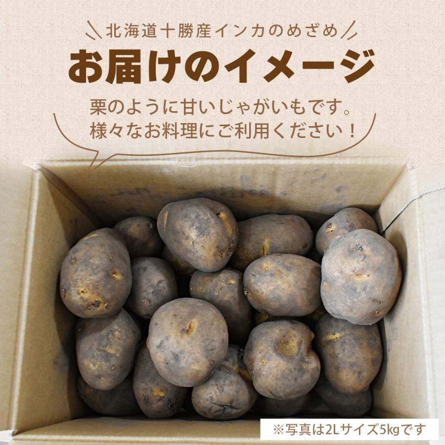 訳あり品　北海道十勝産 インカのめざめ（若干発芽）　M-2L　10kg箱　栗のような甘さ　シチューや煮物に最適　ギフトにも♪｜imo｜10