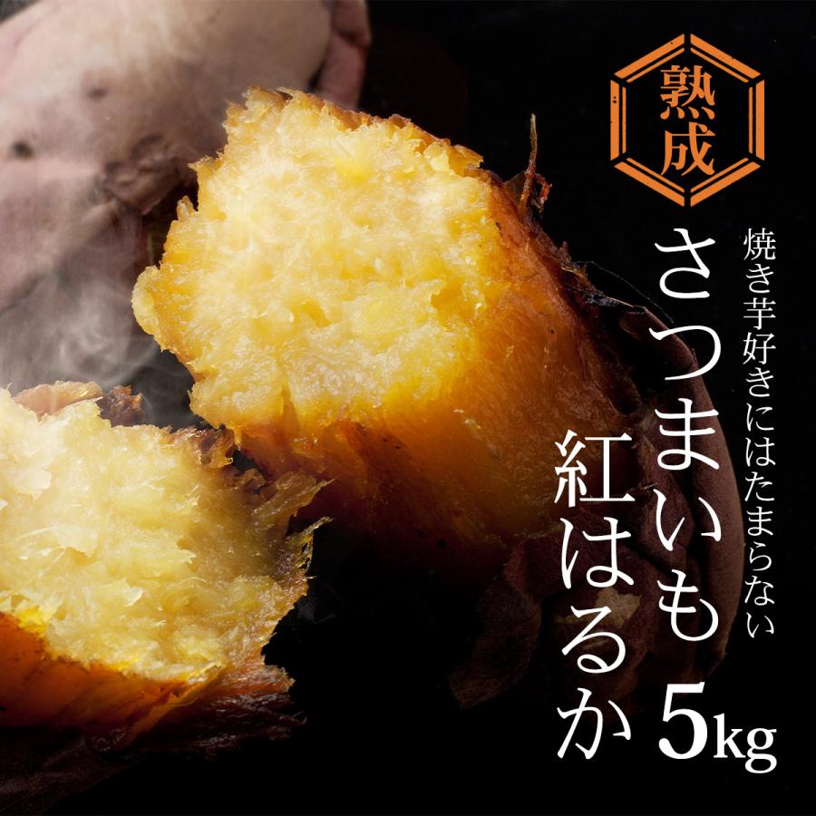 茨城県産 さつまいも　選べる品種　紅はるか　シルクスイート　M-Lサイズ５ｋｇ　焼き芋やお菓子に！　 |  | 01