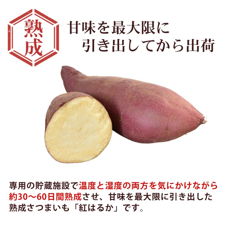 茨城県産 さつまいも　選べる品種　紅はるか　シルクスイート　M-Lサイズ５ｋｇ　焼き芋やお菓子に！　 |  | 02