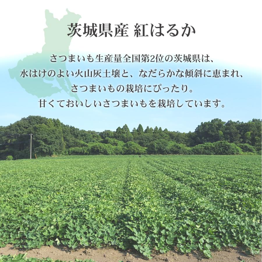 茨城県産 さつまいも　選べる品種　紅はるか　シルクスイート　M-Lサイズ５ｋｇ　焼き芋やお菓子に！　 |  | 04