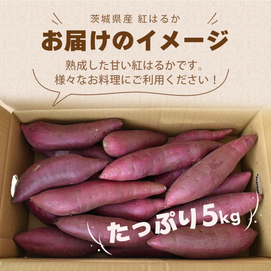茨城県産 さつまいも　選べる品種　紅はるか　シルクスイート　M-Lサイズ５ｋｇ　焼き芋やお菓子に！　 |  | 05