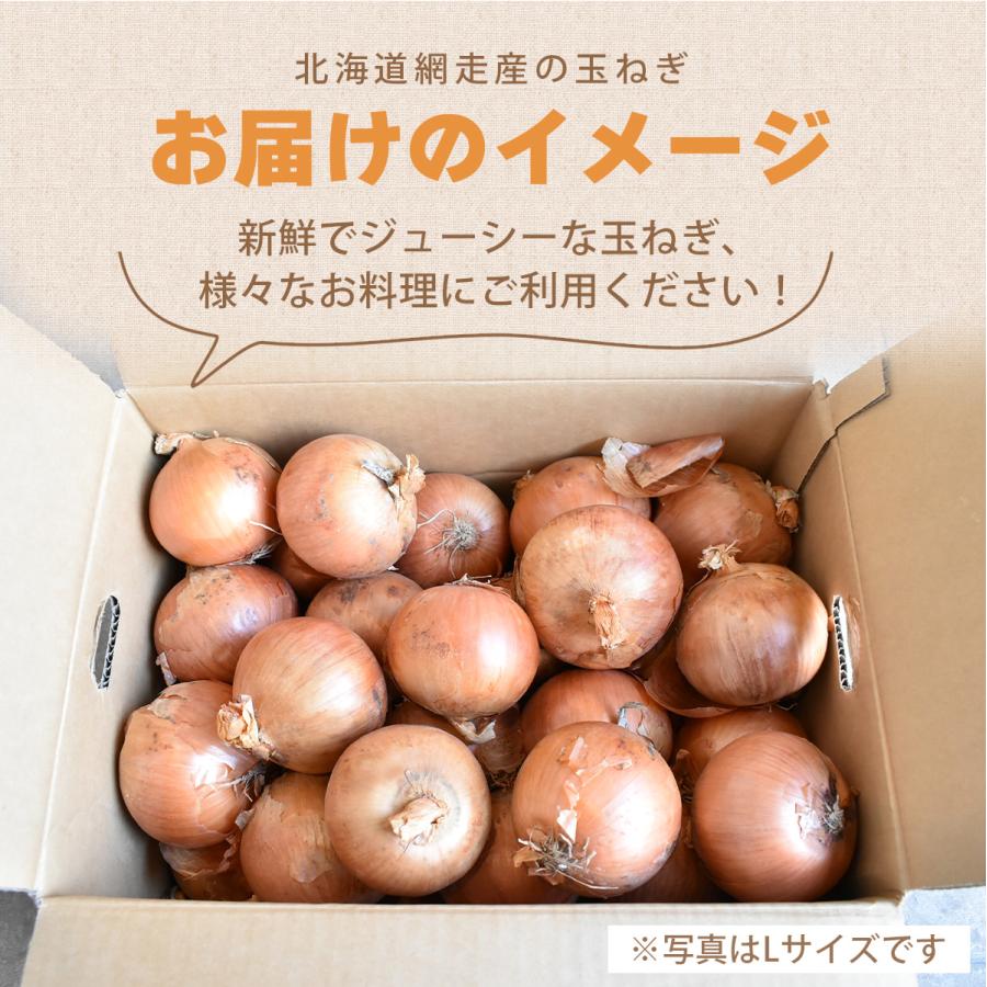 北海道網走産玉葱10kg 小玉 L L大 2L 産地厳選　現地仕入　玉ねぎ 　たまねぎ　バーベキュー　ギフト　カレー　シチュー |  | 10