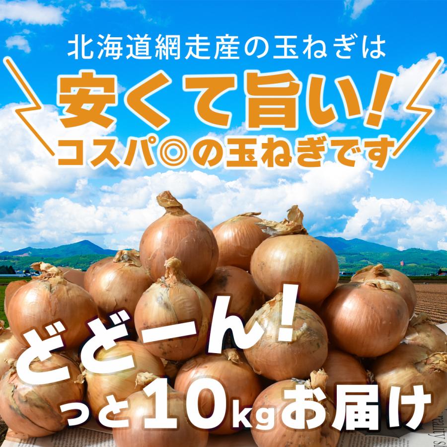 北海道網走産玉葱10kg 小玉 L L大 2L 産地厳選　現地仕入　玉ねぎ 　たまねぎ　バーベキュー　ギフト　カレー　シチュー |  | 11