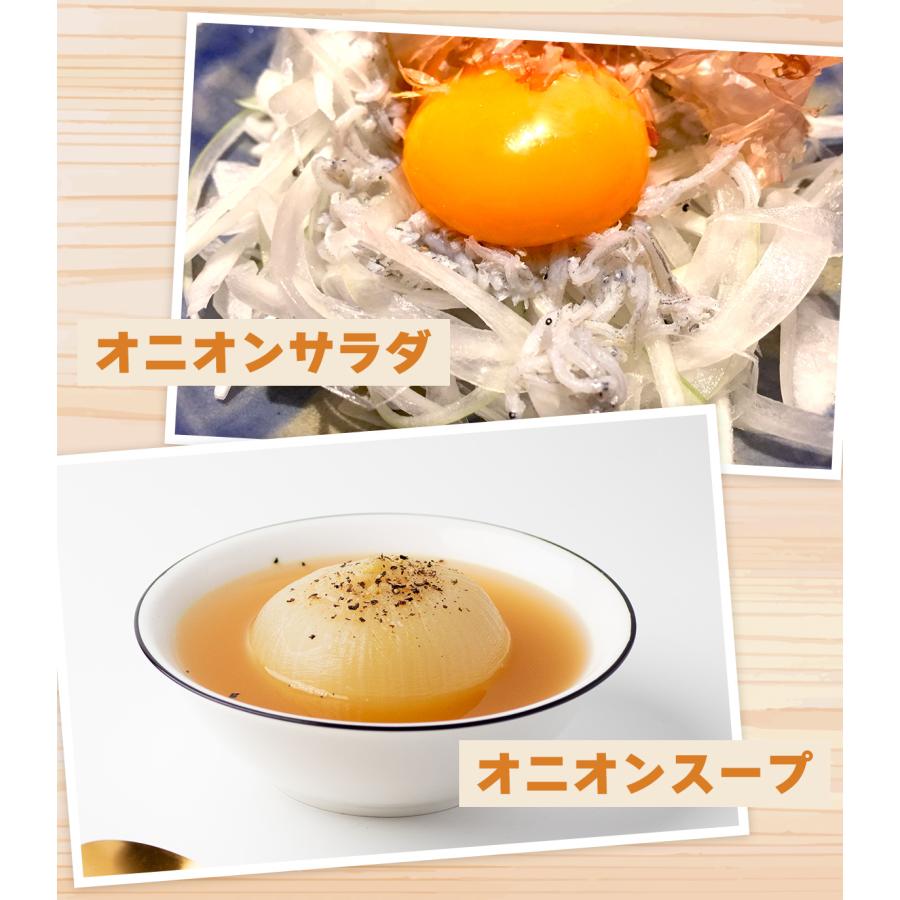 北海道網走産玉葱10kg 小玉 L L大 2L 産地厳選　現地仕入　玉ねぎ 　たまねぎ　バーベキュー　ギフト　カレー　シチュー |  | 05