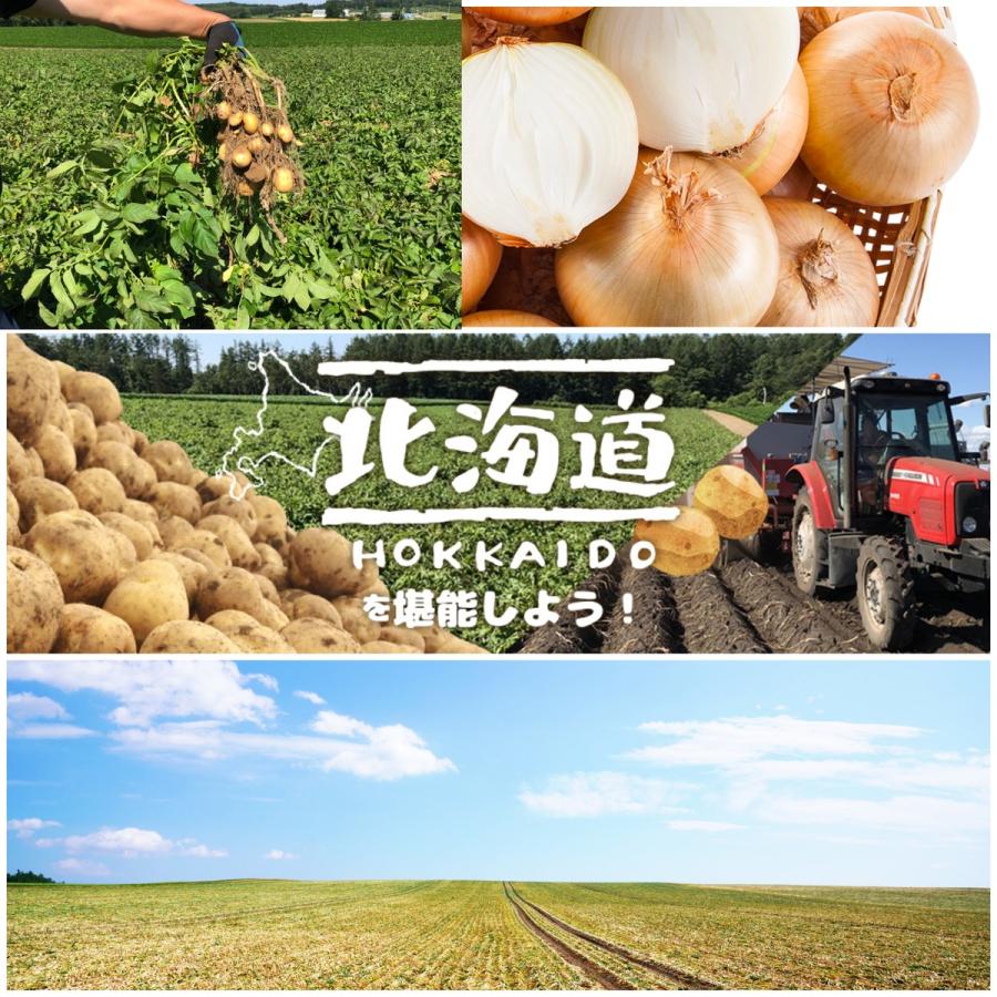 北海道網走産玉葱10kg 小玉 L L大 2L 産地厳選　現地仕入　玉ねぎ 　たまねぎ　バーベキュー　ギフト　カレー　シチュー |  | 07