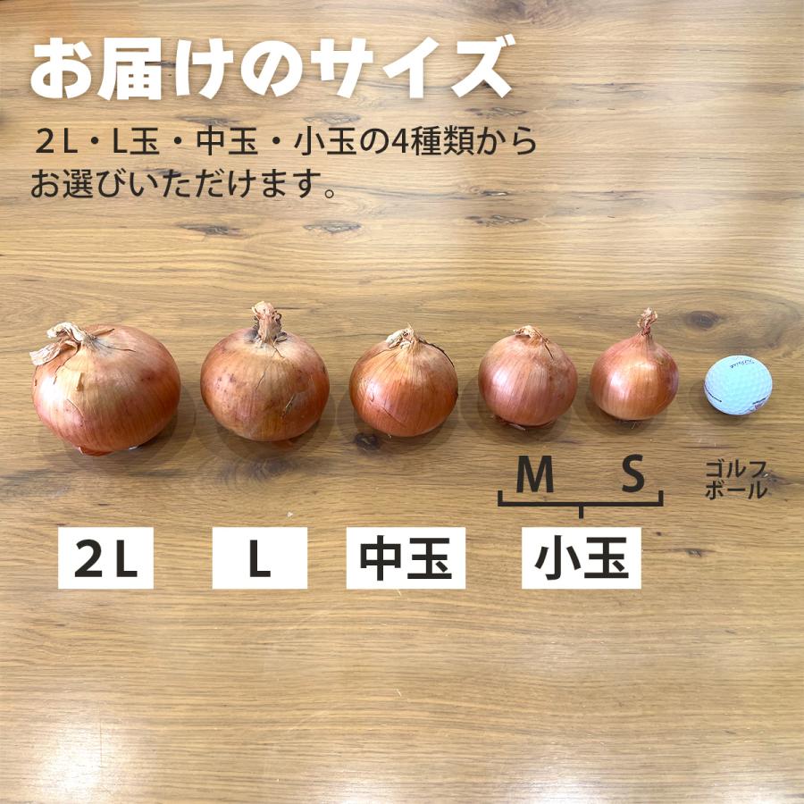 北海道網走産玉葱10kg 小玉 L L大 2L 産地厳選　現地仕入　玉ねぎ 　たまねぎ　バーベキュー　ギフト　カレー　シチュー |  | 08