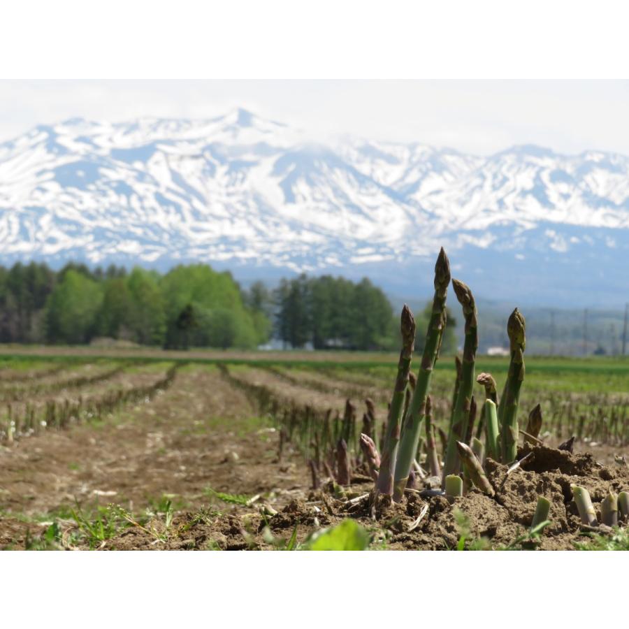 【送料無料】【訳あり】 北海道産グリーンアスパラ アスパラガス 訳あり１ｋｇ（曲がり等）お買い得 グリーンアスパラガス |  | 01