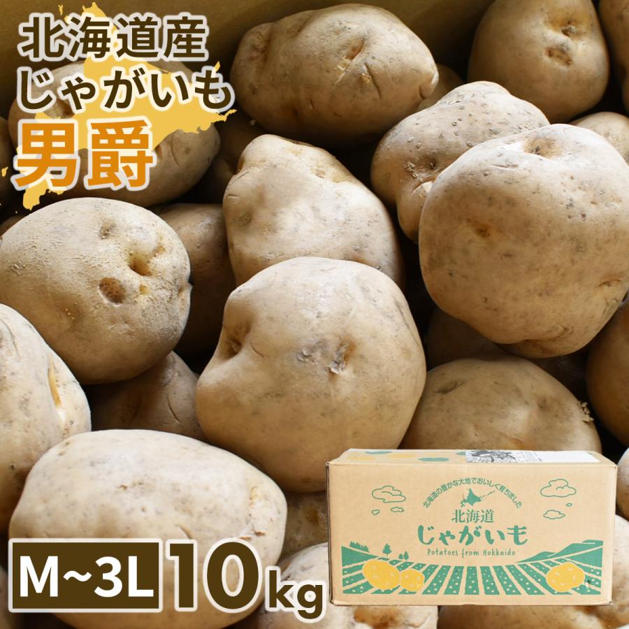 選べるじゃがいも 北海道産 男爵・キタアカリ 10kg 野菜 ジャガイモ