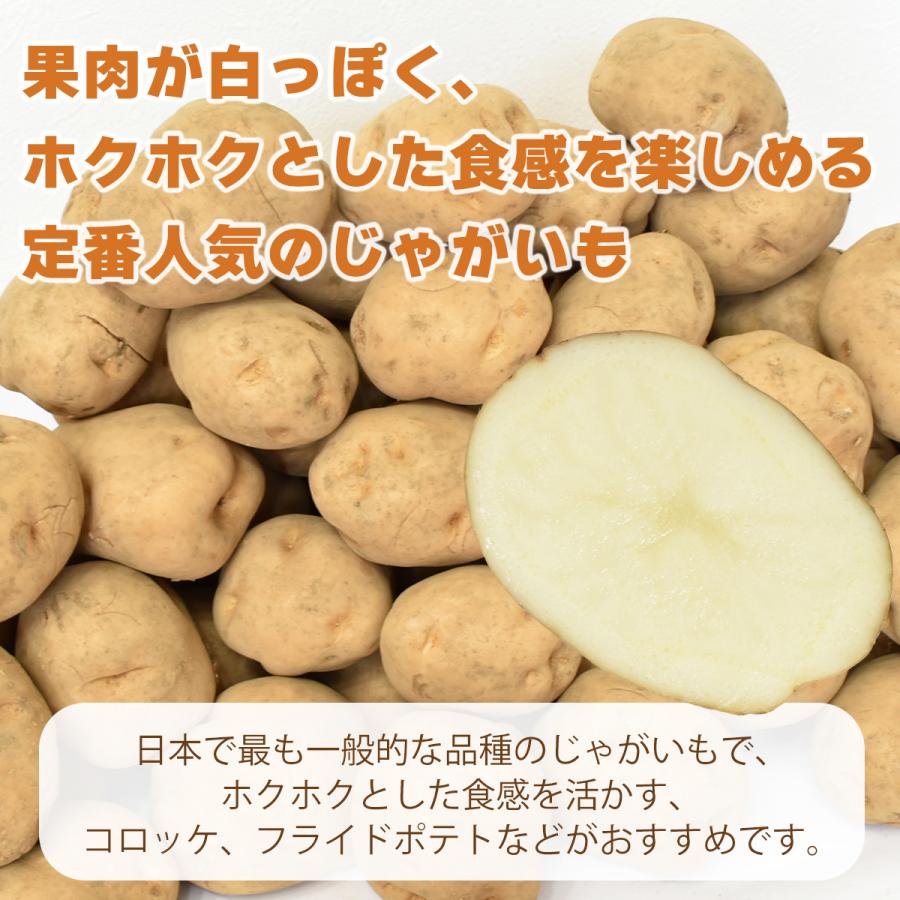 選べるじゃがいも 北海道産 男爵・キタアカリ 10kg 野菜 ジャガイモ