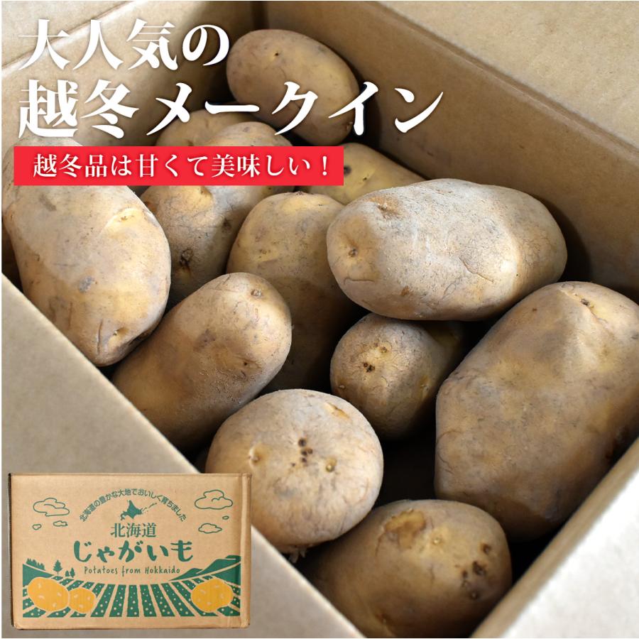 訳あり傷品★越冬★北海道産メークインＬ〜３Lサイズ（約120ｇ-300ｇ/個）　5ｋｇ　ご家庭用　煮物、ハッセルバックポテトに最適  カレーシチュー　じゃがいも｜imo｜02