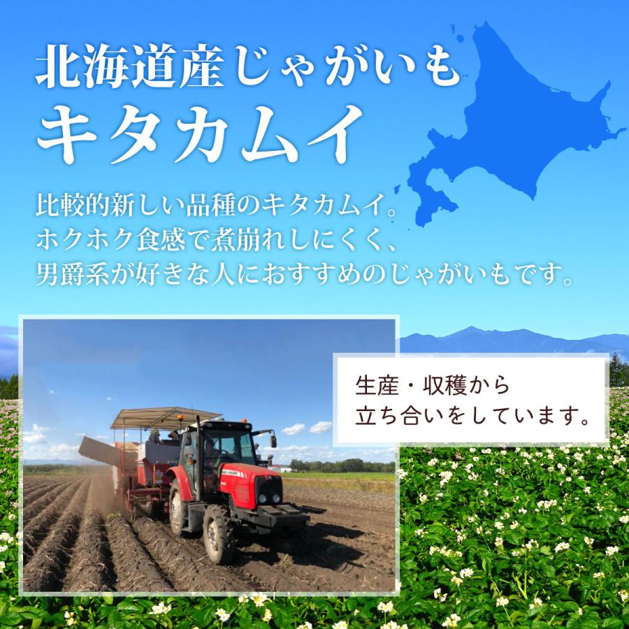北海道産 じゃがいも キタカムイ 10kg |  | 01