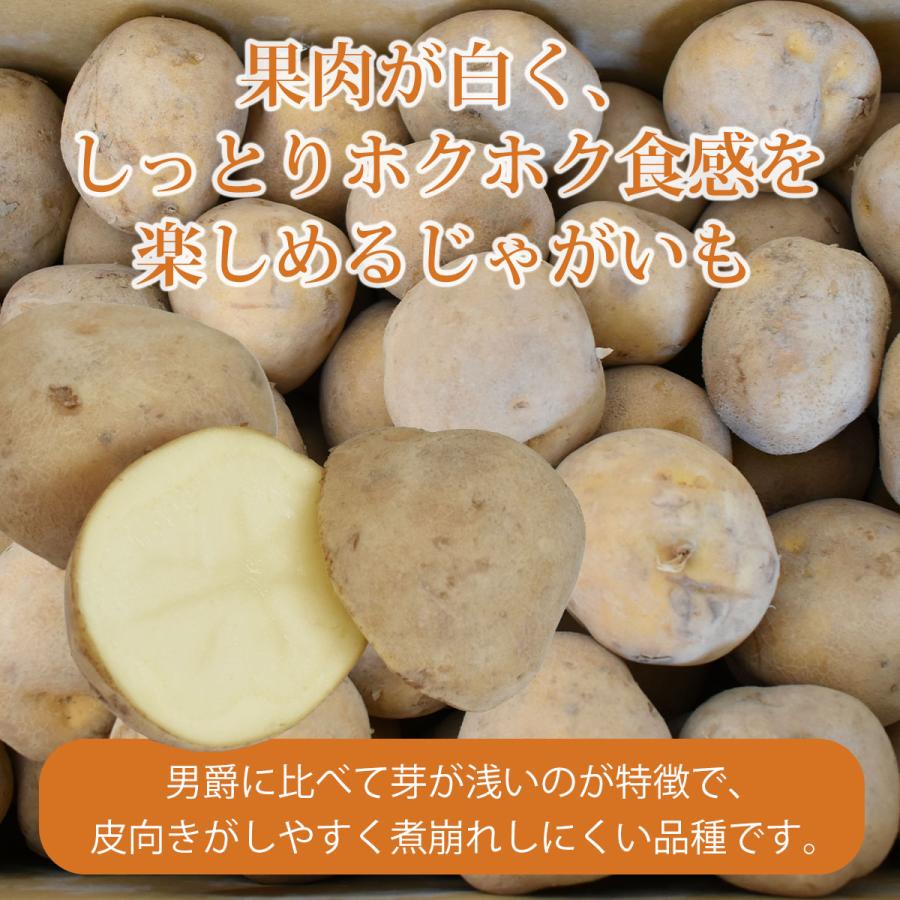 北海道産 じゃがいも キタカムイ 10kg |  | 02