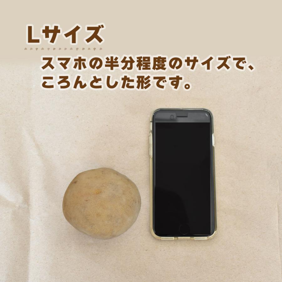 北海道産 じゃがいも キタカムイ 10kg |  | 03