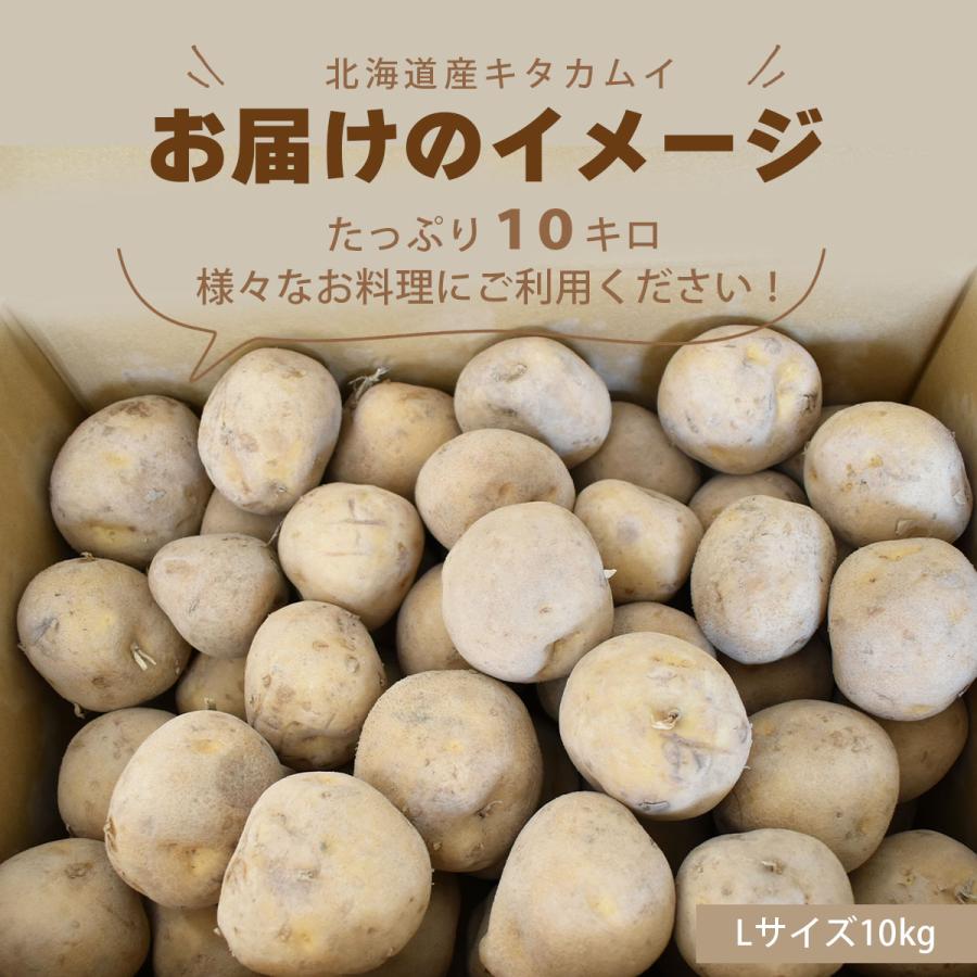 北海道産 じゃがいも キタカムイ 10kg |  | 07