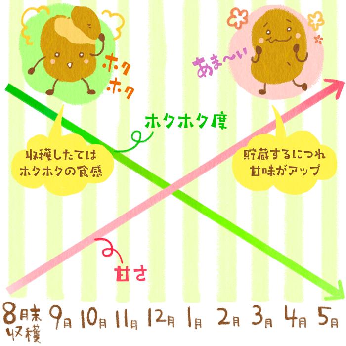 北海道産 じゃがいも キタカムイ 10kg |  | 08
