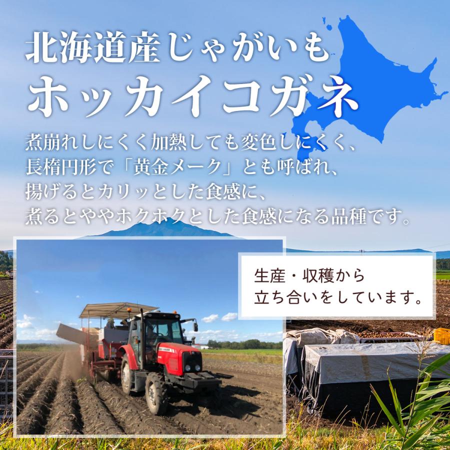 北海道産 越冬 ホッカイコガネ 10kg M〜3Lサイズ 熟成 じゃがいも 10キロ 北海黄金 馬鈴薯 ほっかいこがね 大容量 フライドポテト 揚げ物 煮崩れしにくい 箱買い |  | 01