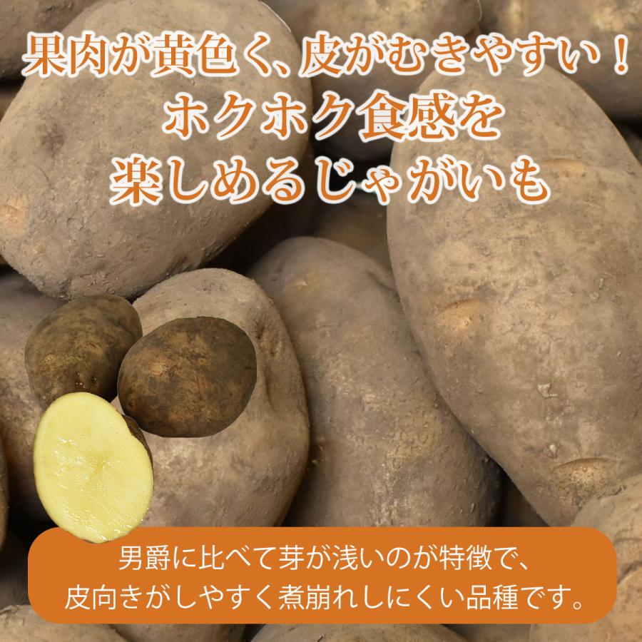 北海道産 越冬 ホッカイコガネ 10kg M〜3Lサイズ 熟成 じゃがいも 10キロ 北海黄金 馬鈴薯 ほっかいこがね 大容量 フライドポテト 揚げ物 煮崩れしにくい 箱買い |  | 02