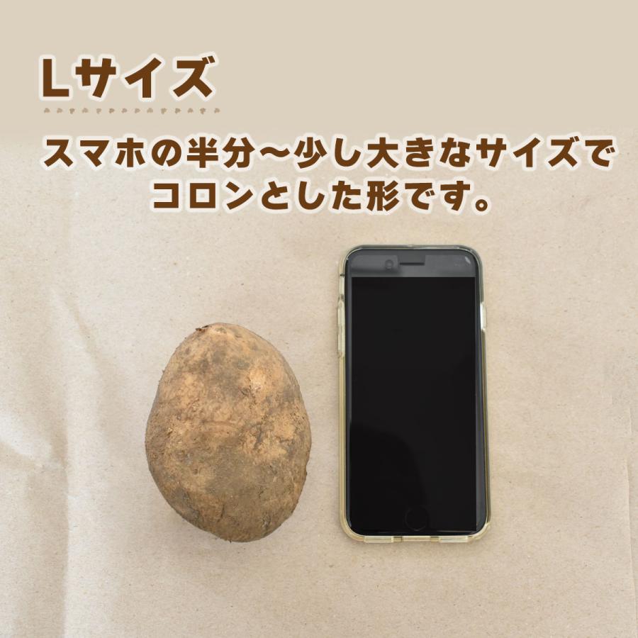 北海道産 越冬 ホッカイコガネ 10kg M〜3Lサイズ 熟成 じゃがいも 10キロ 北海黄金 馬鈴薯 ほっかいこがね 大容量 フライドポテト 揚げ物 煮崩れしにくい 箱買い |  | 03