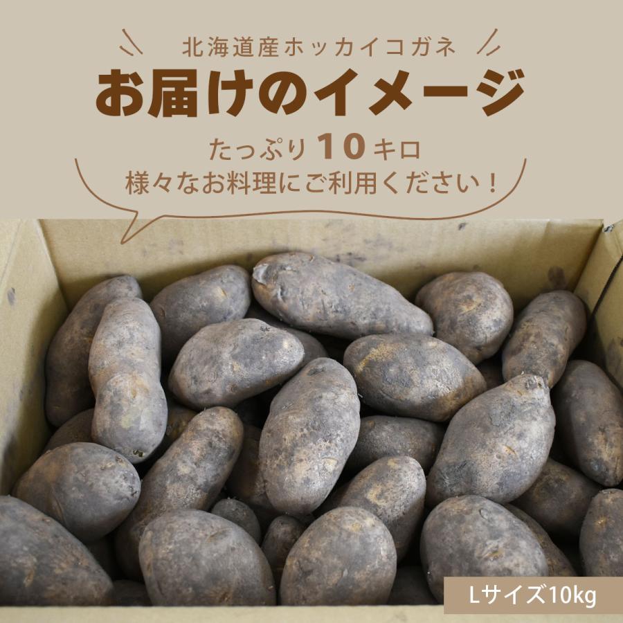 北海道産 越冬 ホッカイコガネ 10kg M〜3Lサイズ 熟成 じゃがいも 10キロ 北海黄金 馬鈴薯 ほっかいこがね 大容量 フライドポテト 揚げ物 煮崩れしにくい 箱買い |  | 07