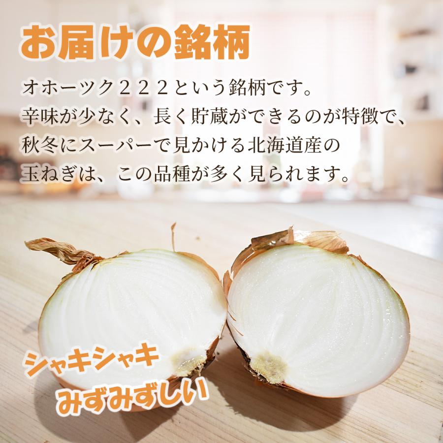 玉ねぎ 10kg 中玉サイズ 北海道 網走産 野菜 まとめ買い 送料